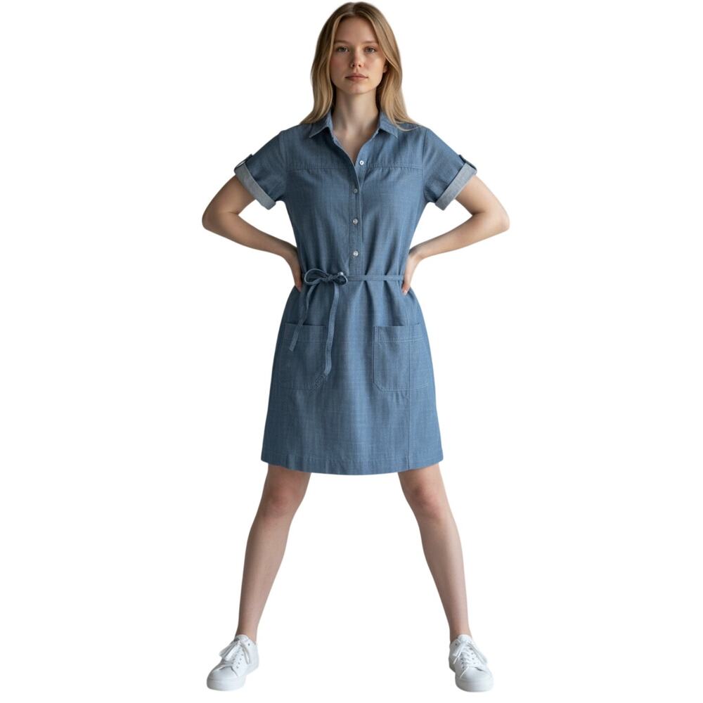 Patagonia Chesser Island Blue Denim Dress size 6